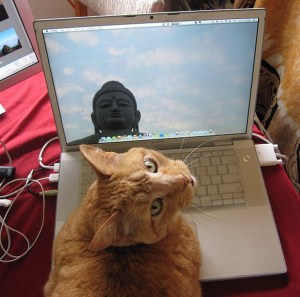 Time to buckle down and write!